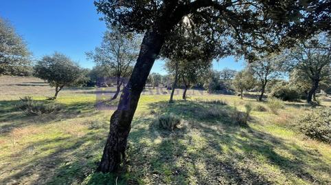 Foto 5 de Casa o xalet en venda a Miajadas, Cáceres