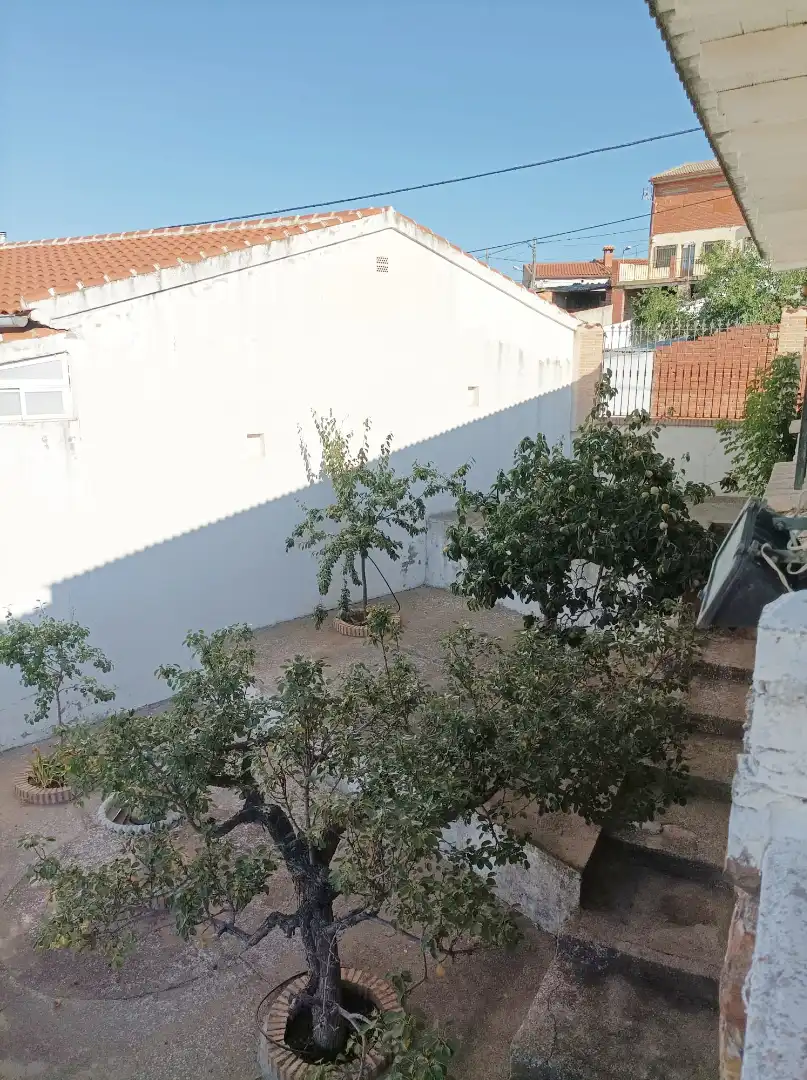 Xalet amb terrassa en venda a Horcajo de los Montes, imagen 29