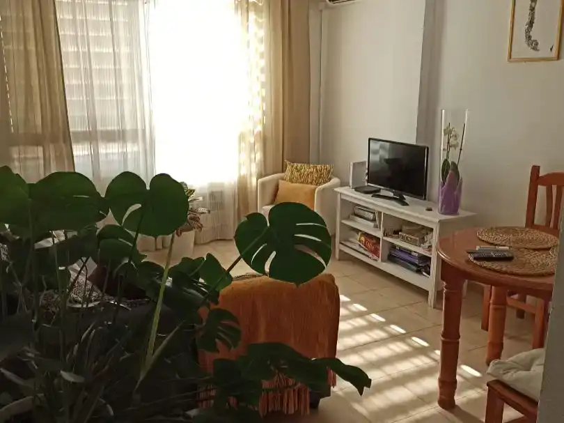 Sala d'estar de Apartament de lloguer en Sevilla amb Aire condicionat, Jardí privat i Moblat