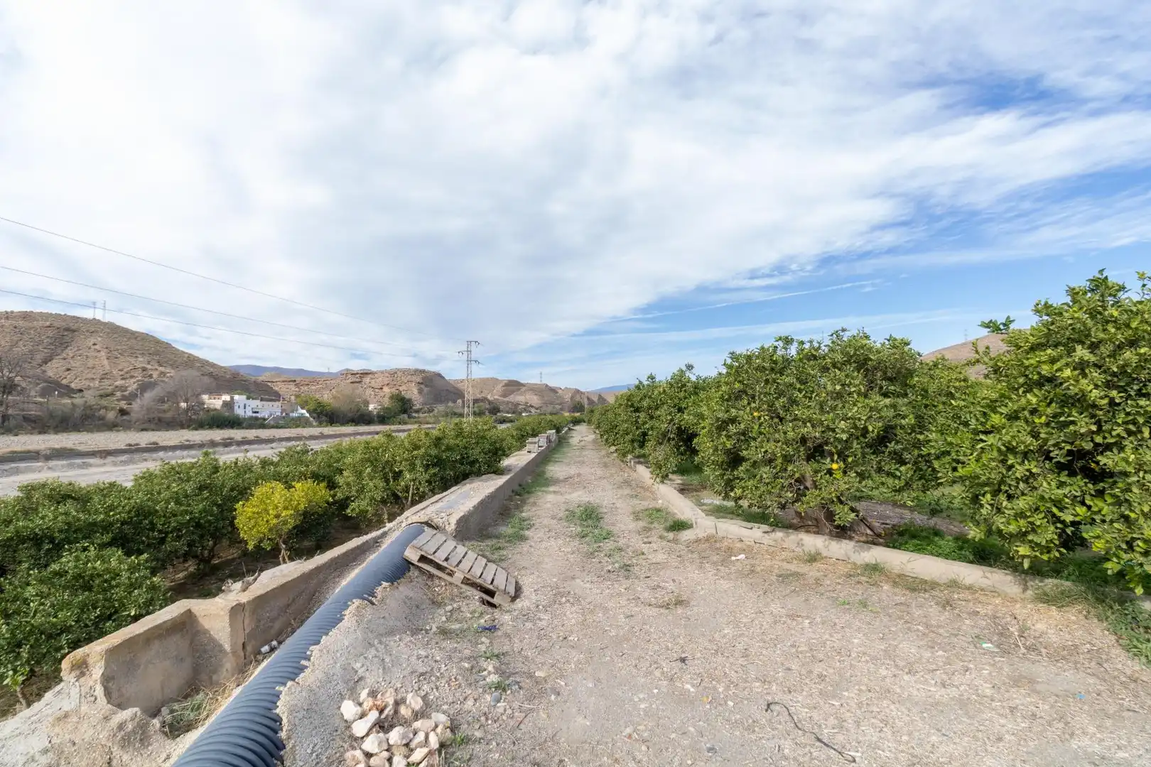 Land for sale in Santa Fe de Mondújar