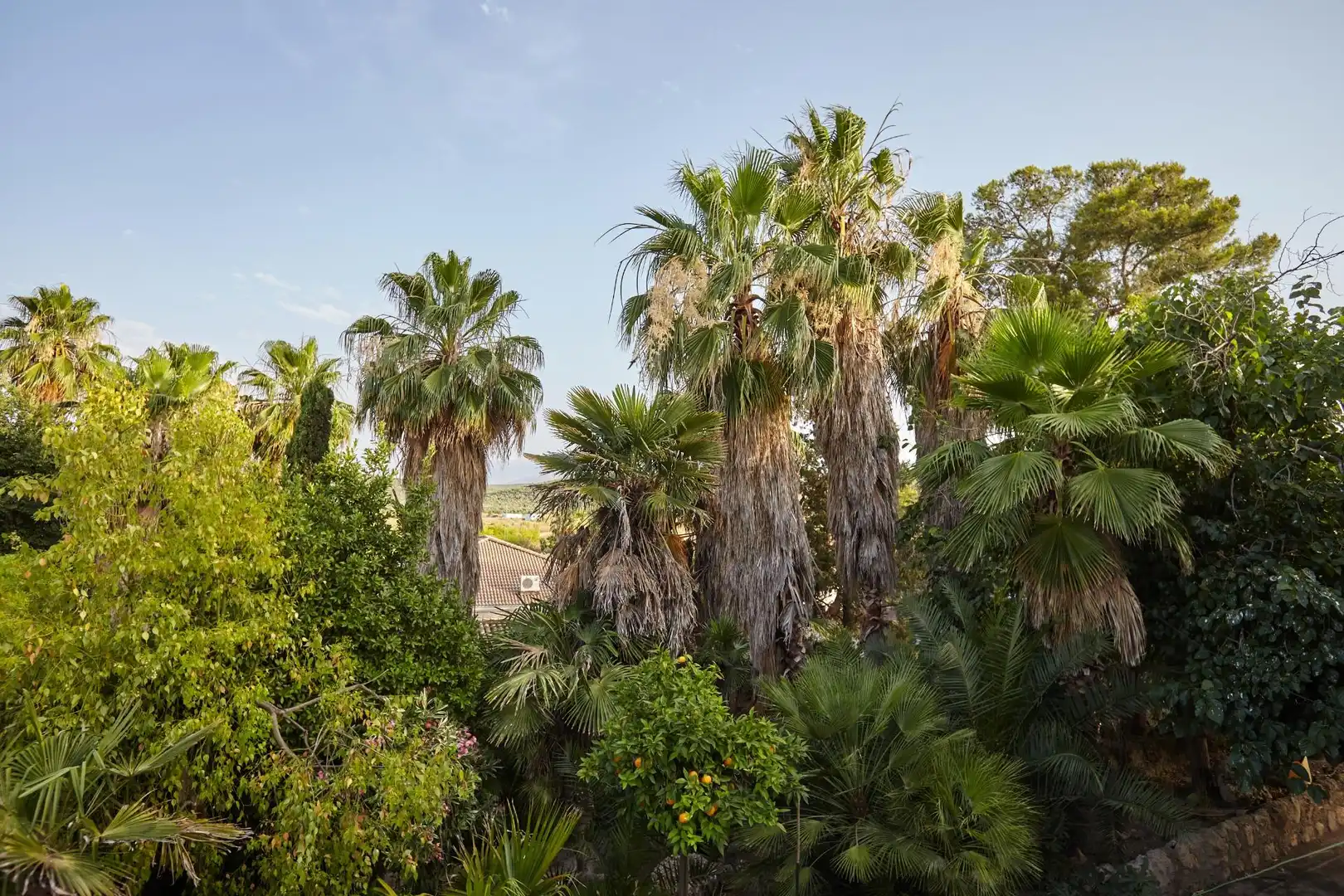 Jardín de Finca rústica en venta en Jaén con Aire acondicionado, Jardín privado y Terraza