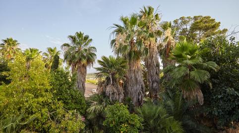 Foto 2 de Finca rústica en venda a  Cadimo, 1, Puente Tablas - Puente Nuevo - Cerro Molina, Jaén