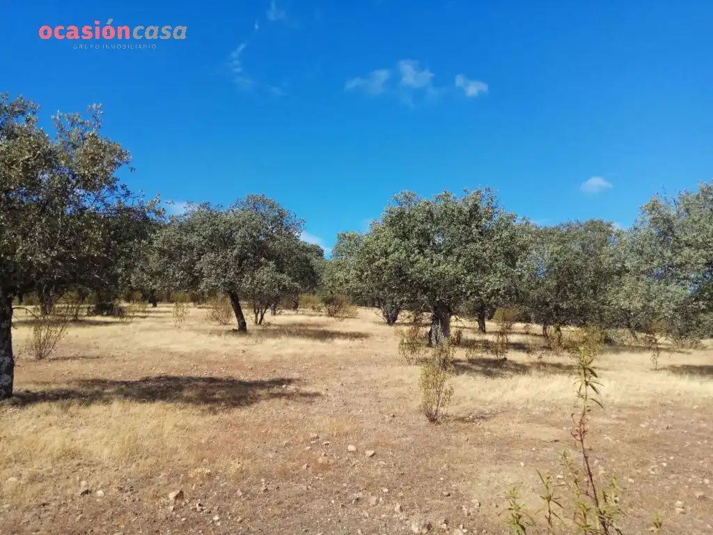 Finca rústica en venta en Villanueva del Duque