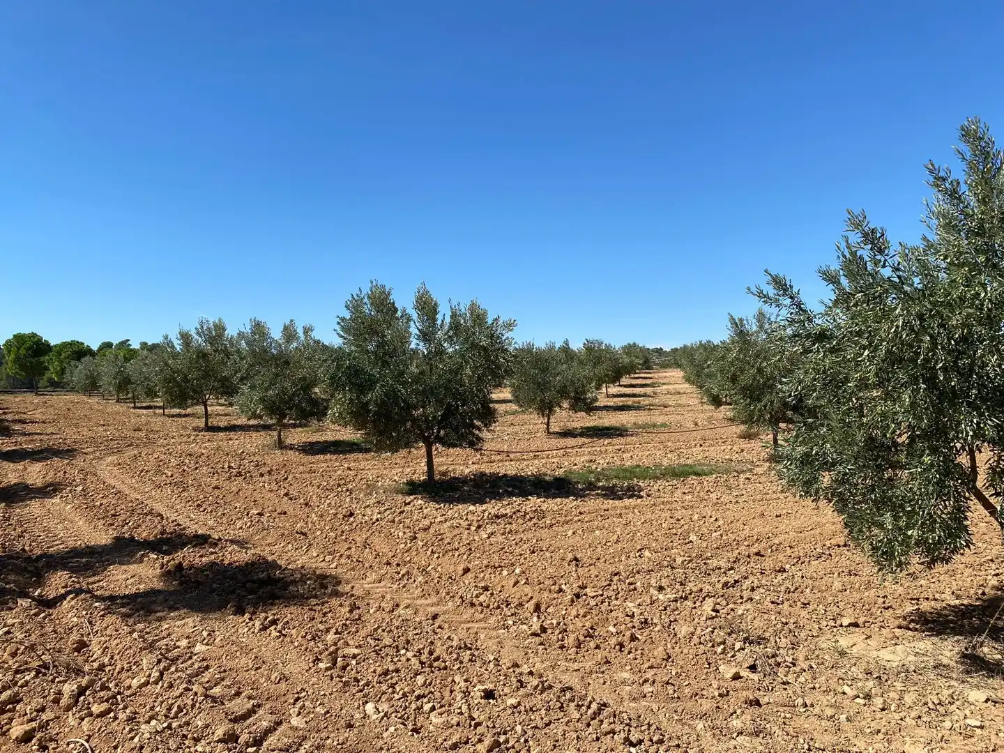 Casa o chalet en venta en Alcañiz con Terraza
