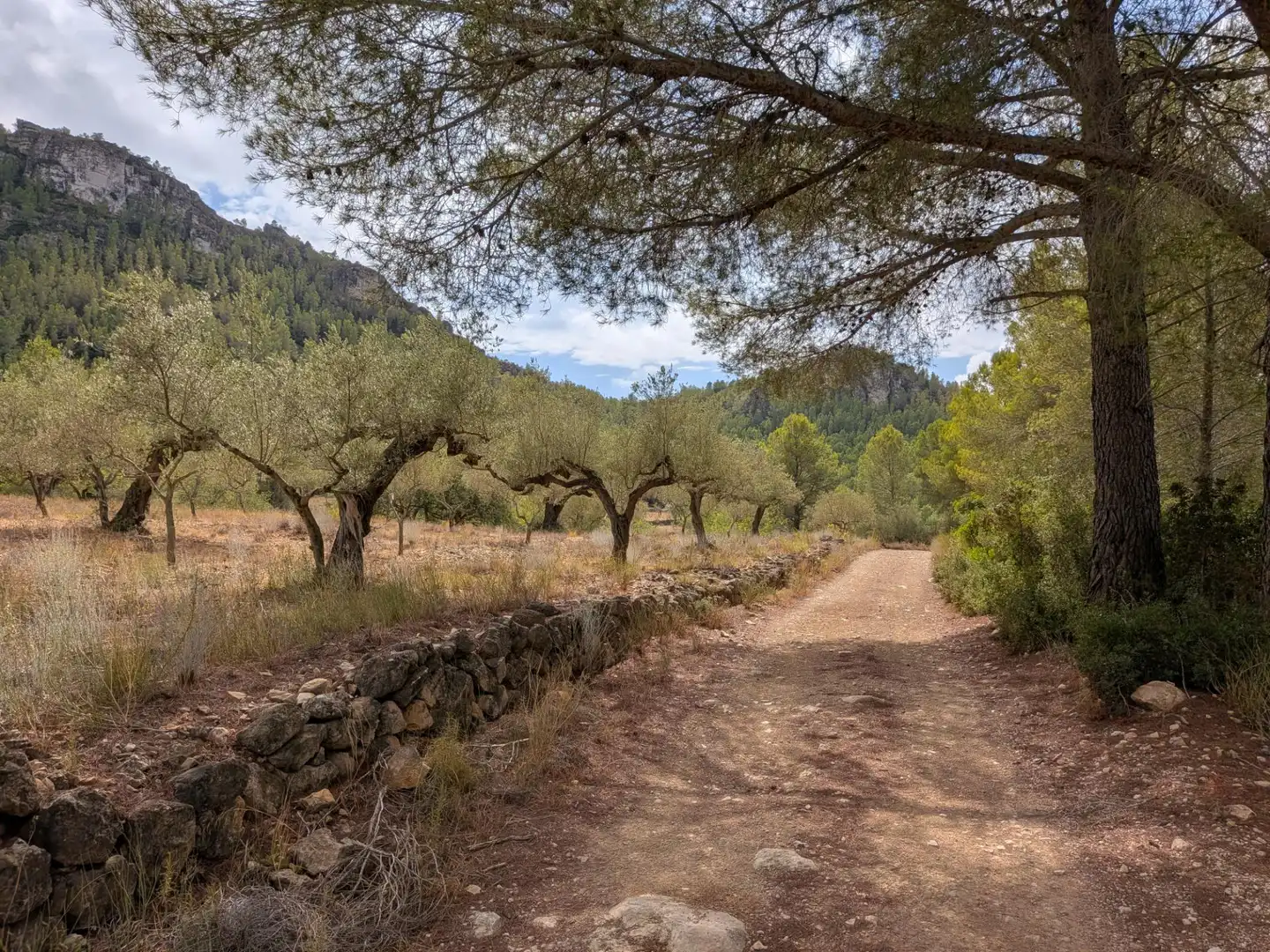 Maison rustique à vendre à Camino  Tivissa 51, imagen 41