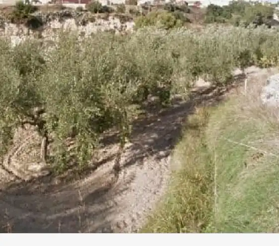 Terrain rustique à vendre à Sant Josep - Zona Hospital, imagen 9
