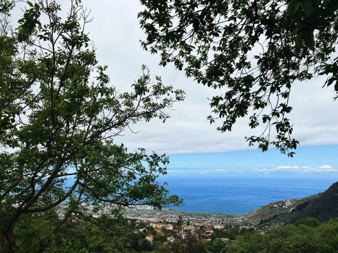 Country homes for sale in El Bebedero - Pinolere - Aguamansa