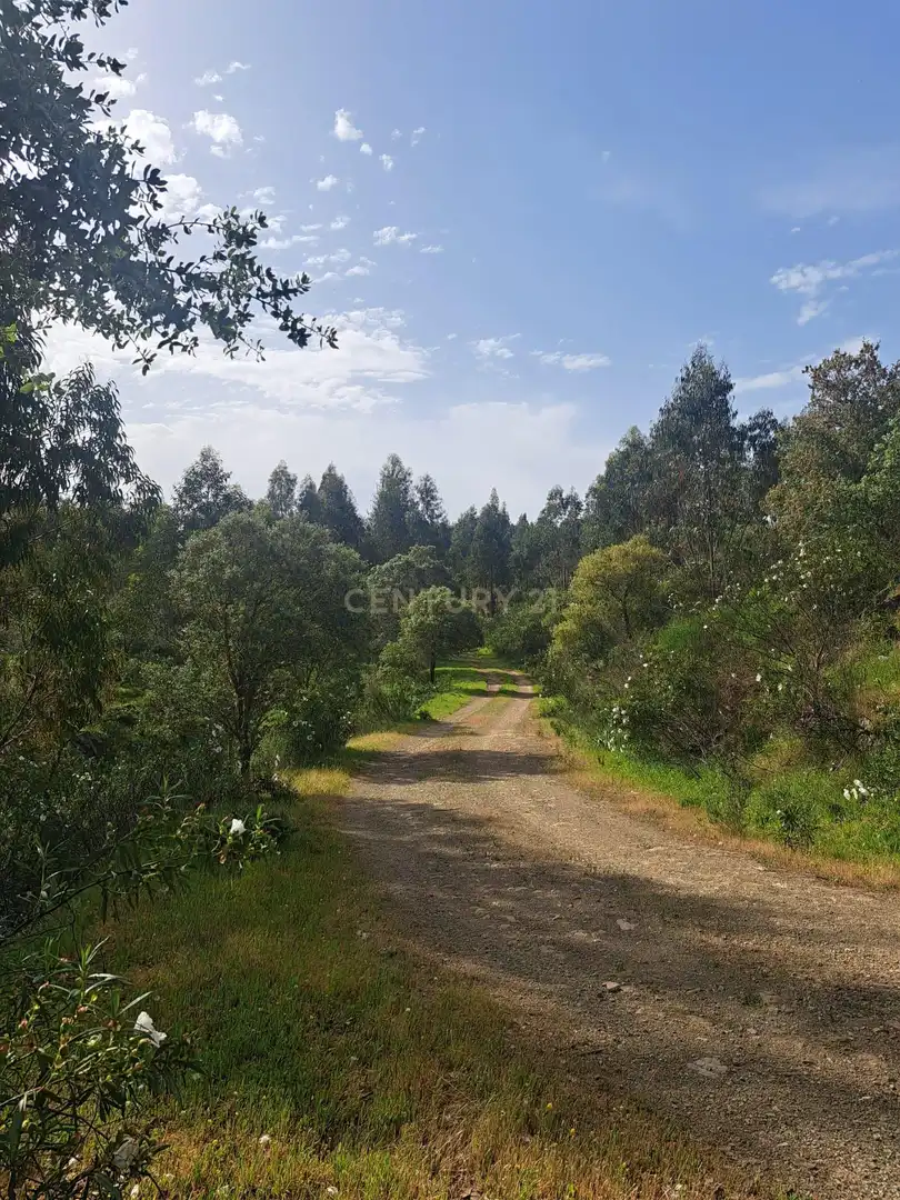 Terreno en venta en Herrera de Alcántara