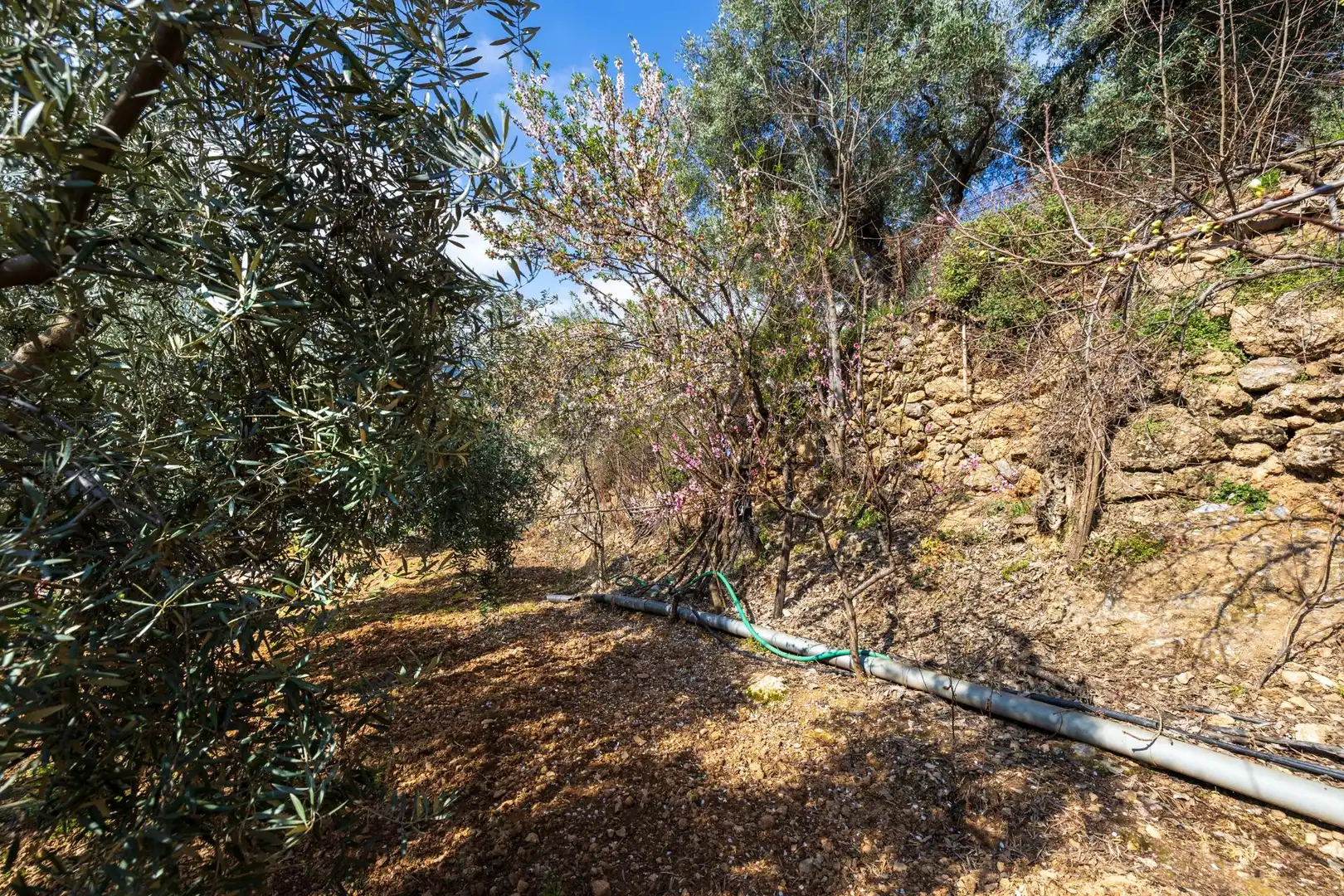 Villa con terrazza in vendita a Güéjar Sierra, imagen 59