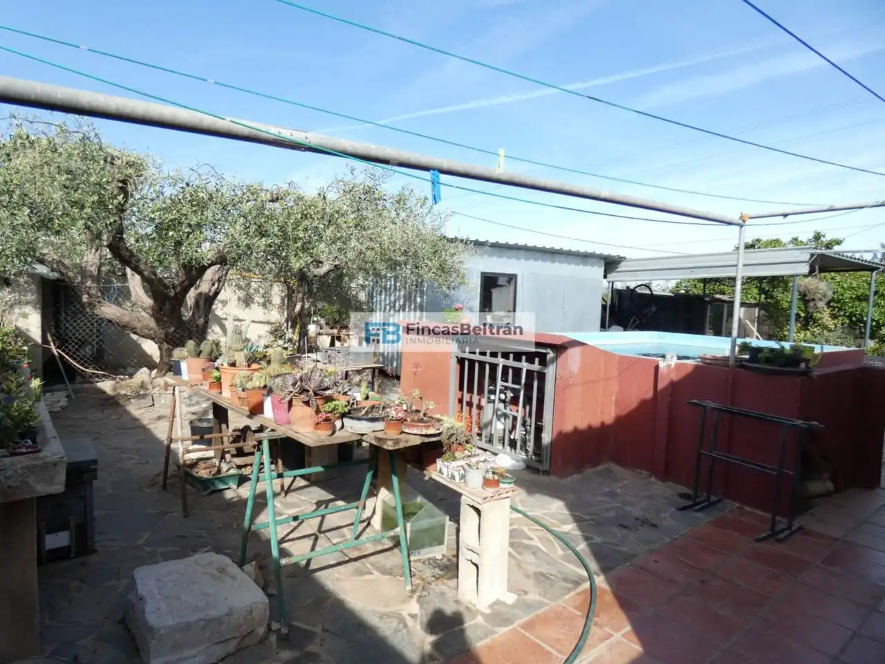 Jardí de Finca rústica en venda en Benicarló amb Jardí privat i Moblat