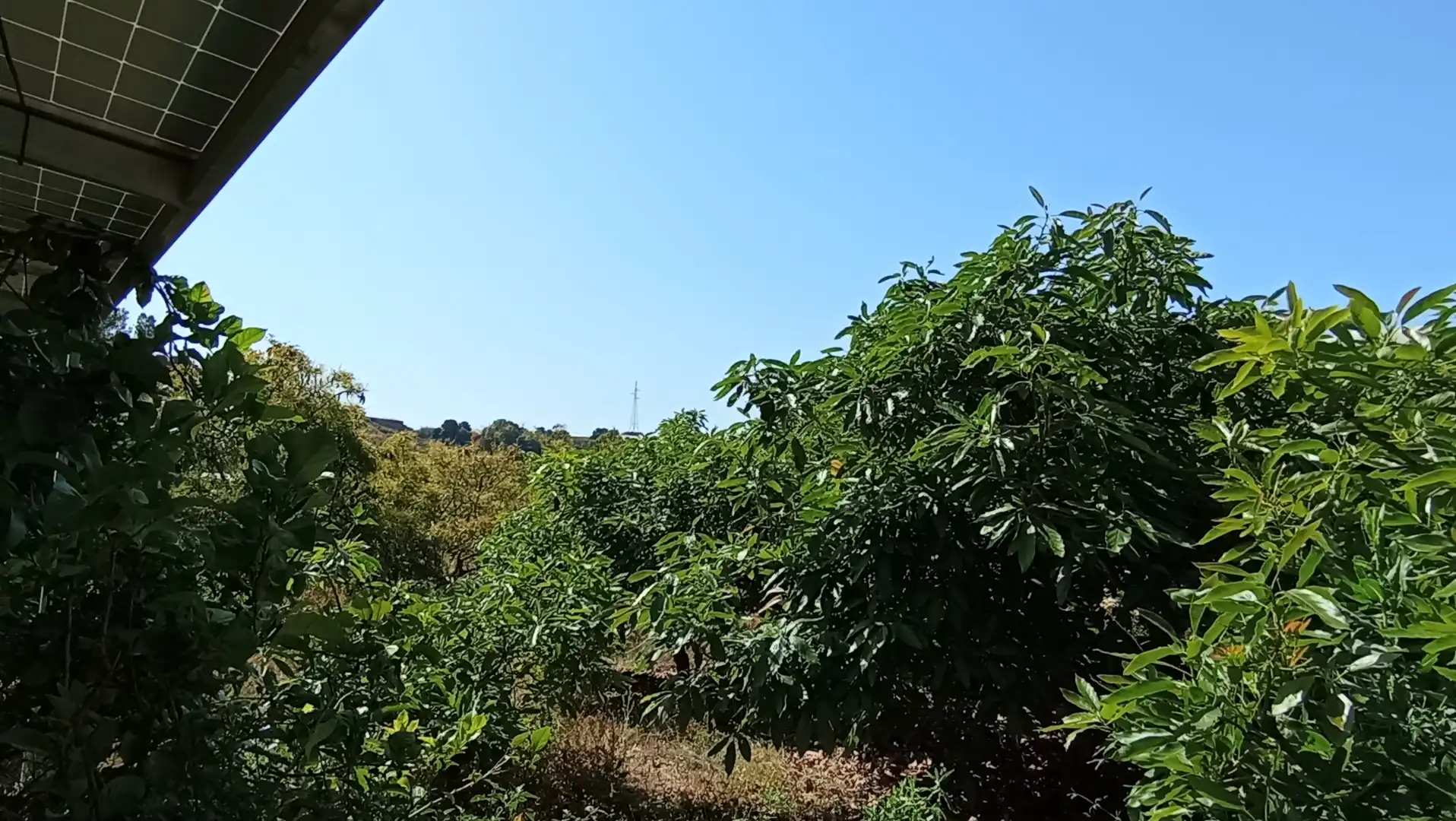 Terrain rustique à vendre à Lagos, imagen 4
