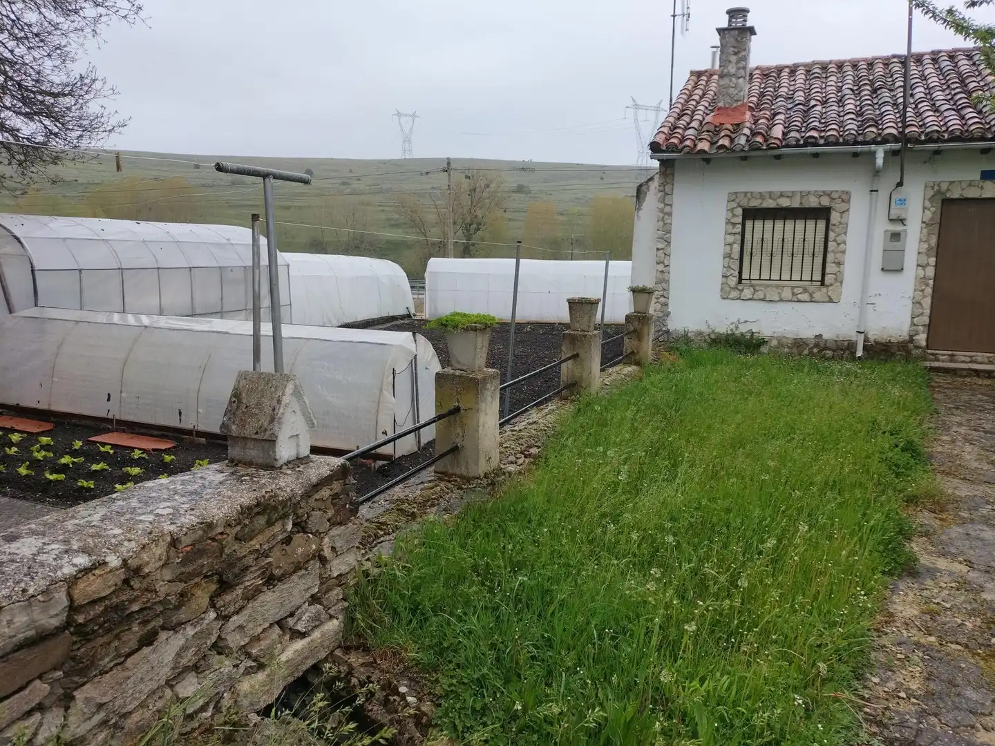 Jardín de Casa o chalet en venta en Santibáñez de la Peña