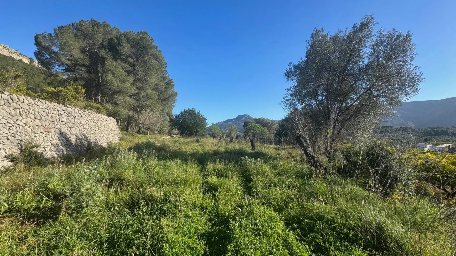Terrenys i solars en venda a Murla, imagen 4