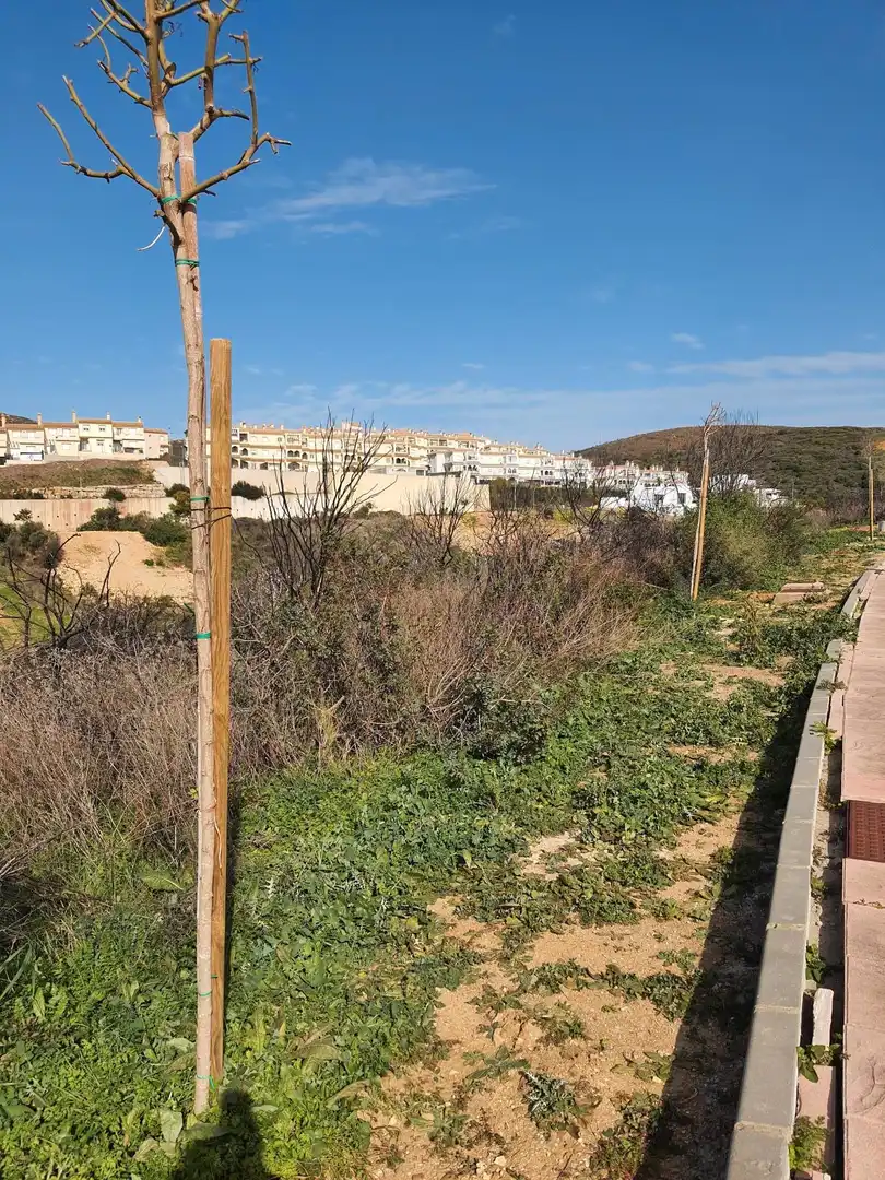 Residencial en venta en La Línea de la Concepción