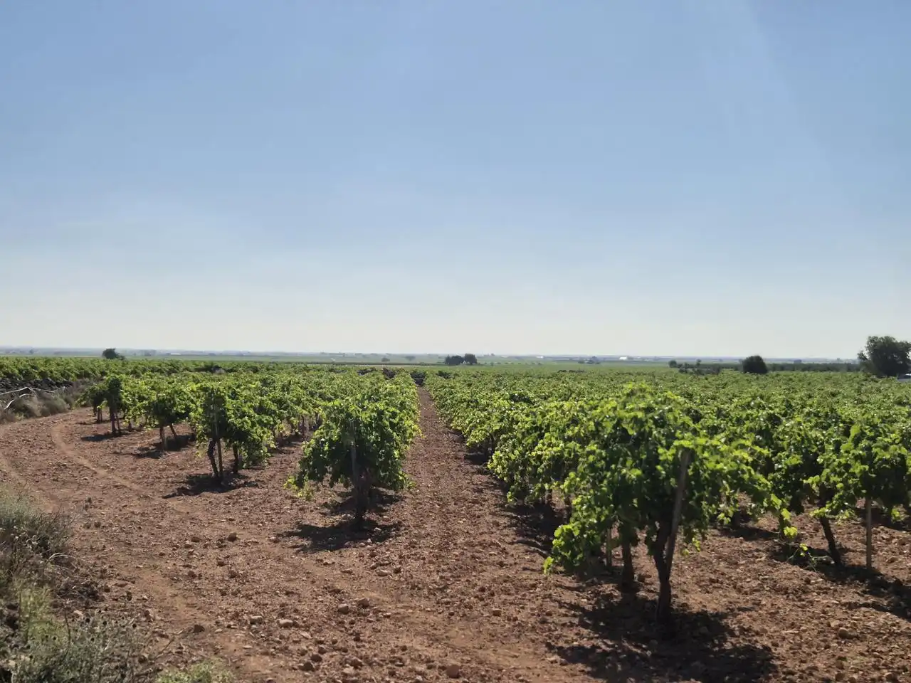 Terreno rustico in vendita a Las Colinas, imagen 21