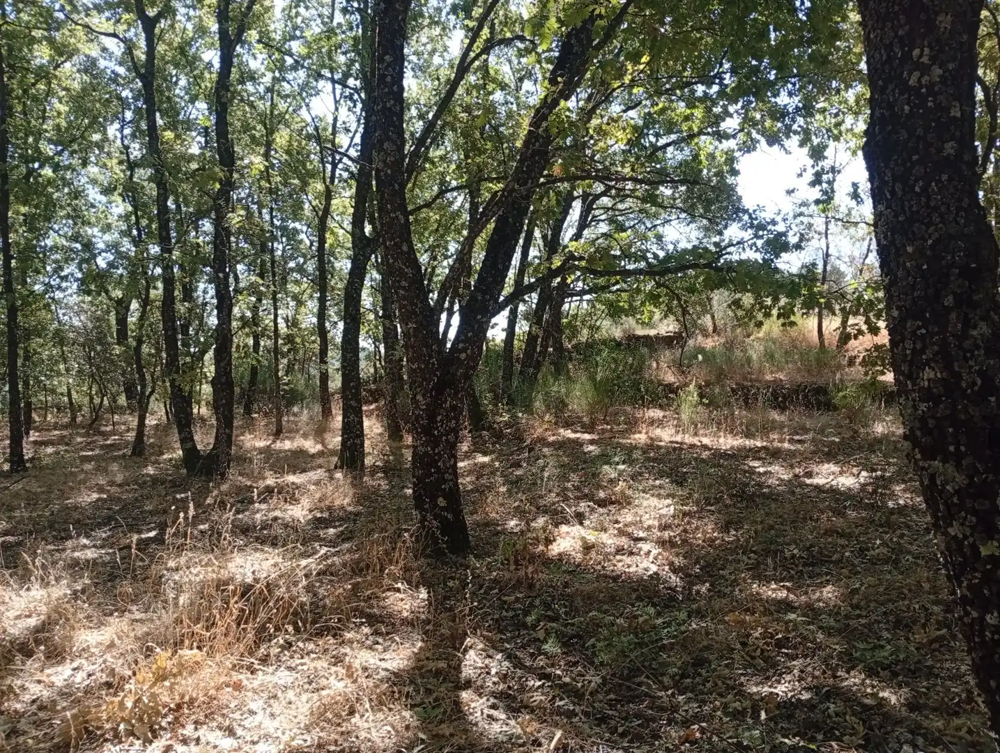 Terreni e lotti in vendita a Villanueva de la Vera, imagen 97