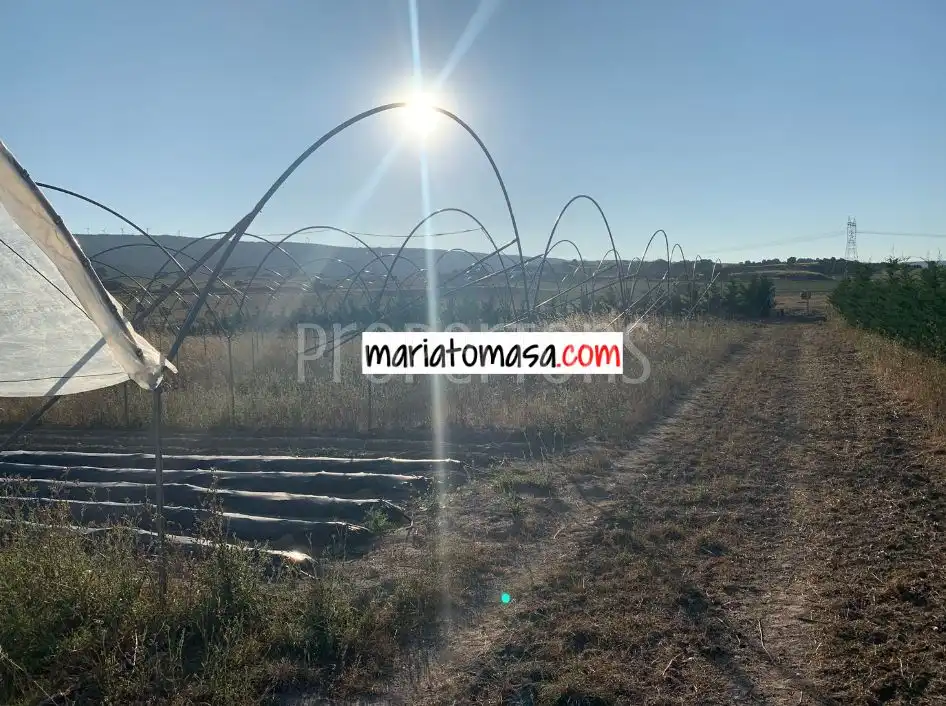 Lands and plots for sale in Zona rural noroeste, imagen 5