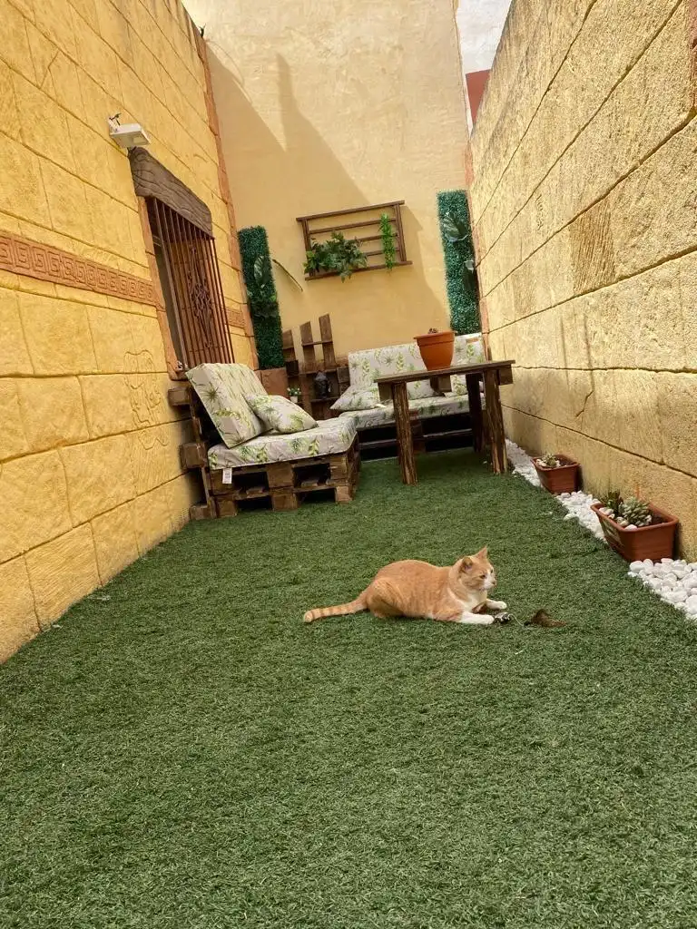 Terrassa de Casa o xalet en venda en San Roque amb Parquet, Terrassa i Balcó