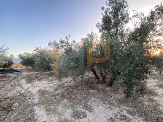 Terrenys i solars en venda a Huércal-Overa, imagen 16