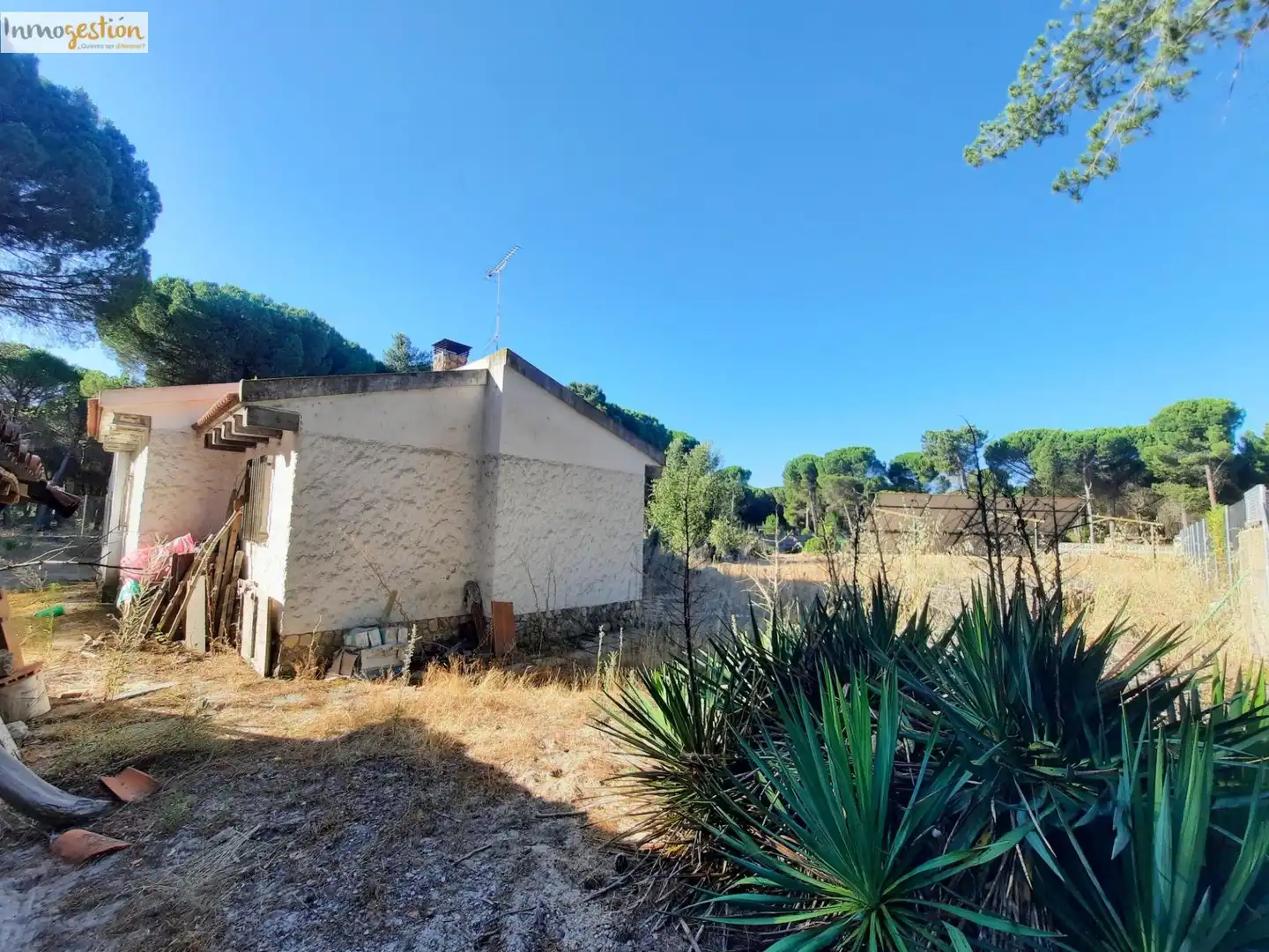 Exterior view of Houses for sale in Tudela de Duero  with Heating and Private garden