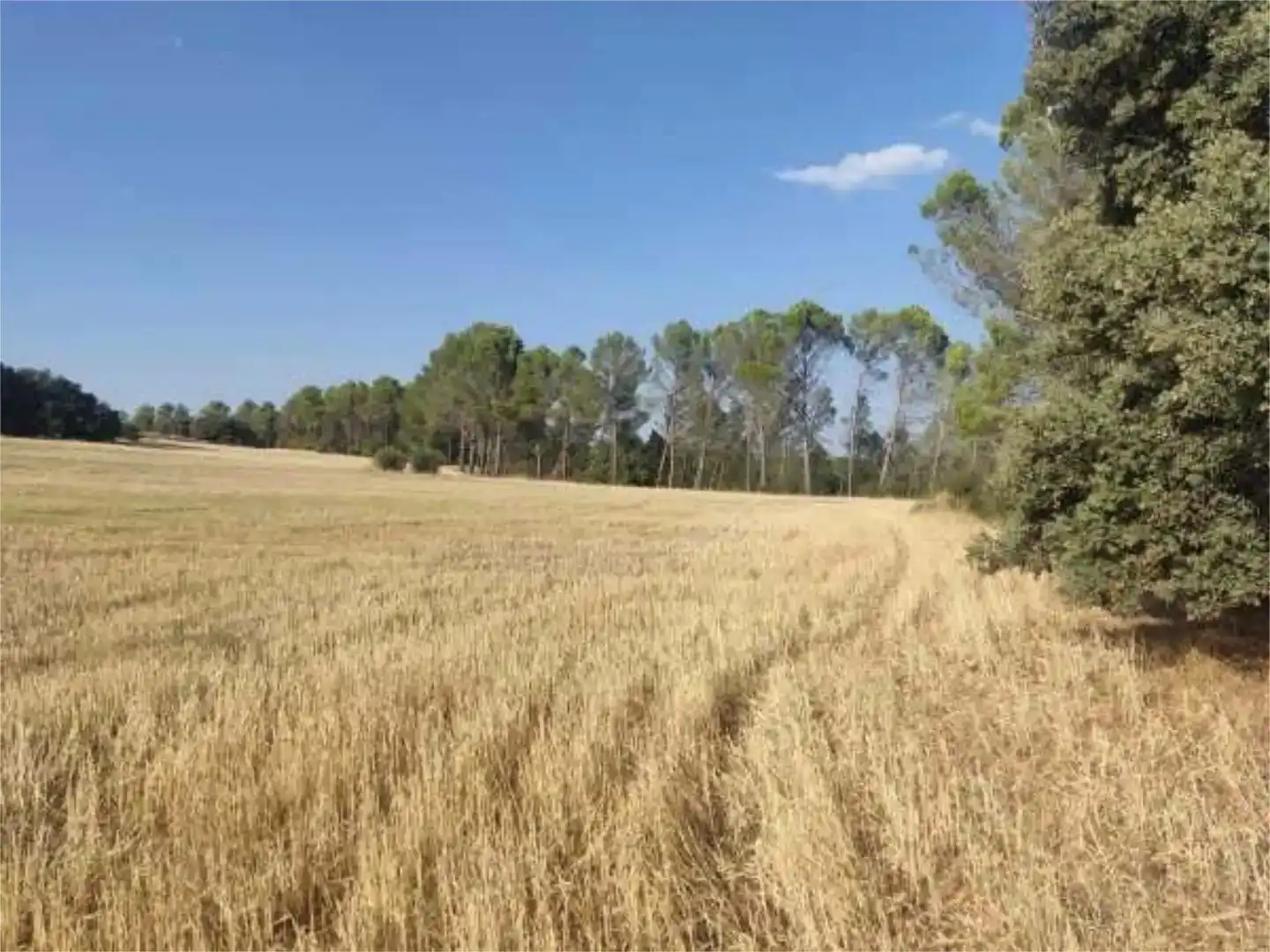 Terreno en venta en Alcocer