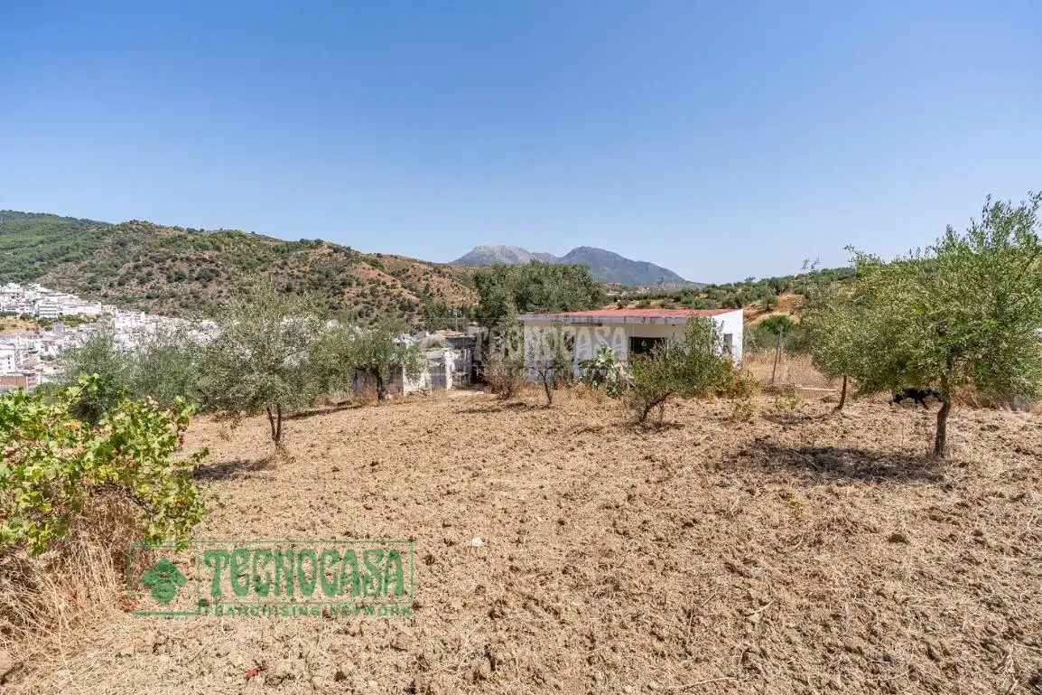 Land for sale in Tolox