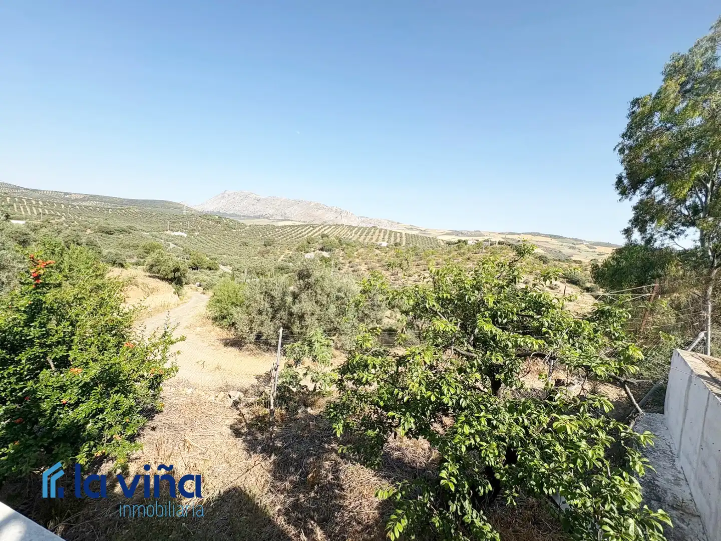 Lands and plots for sale in Cueva de Menga, imagen 25