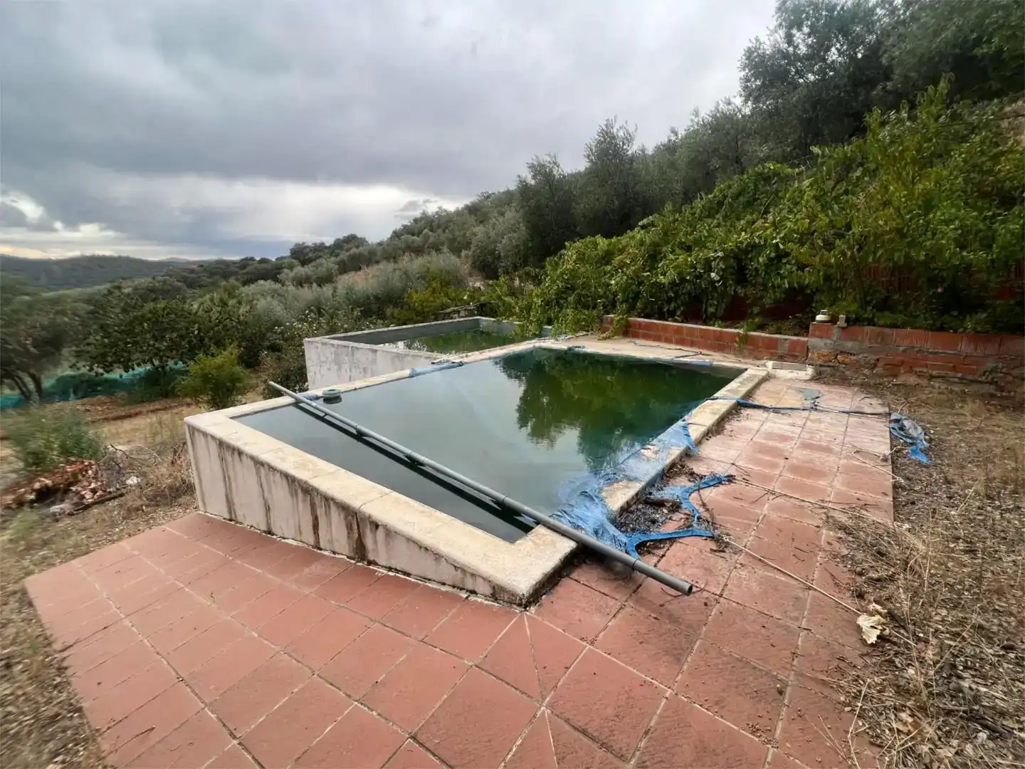 Piscina de Finca rústica en venta en Castañar de Ibor con Piscina