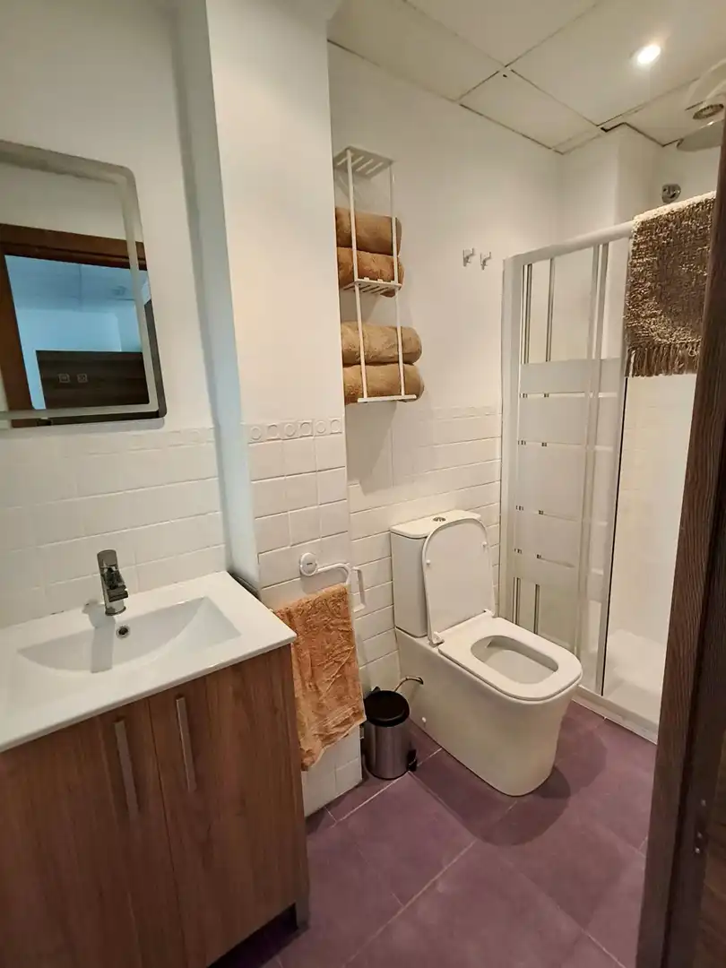 Hotel amb ascensor en venda a Zona Pueblo, imagen 8