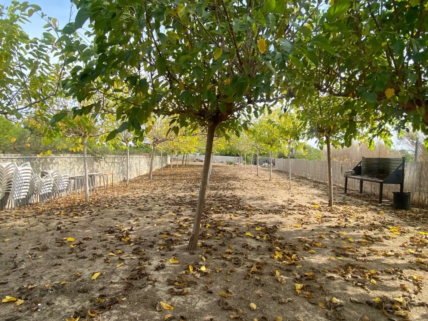 Landhaus mit Terrasse zum Verkauf in Camino NC, imagen 11