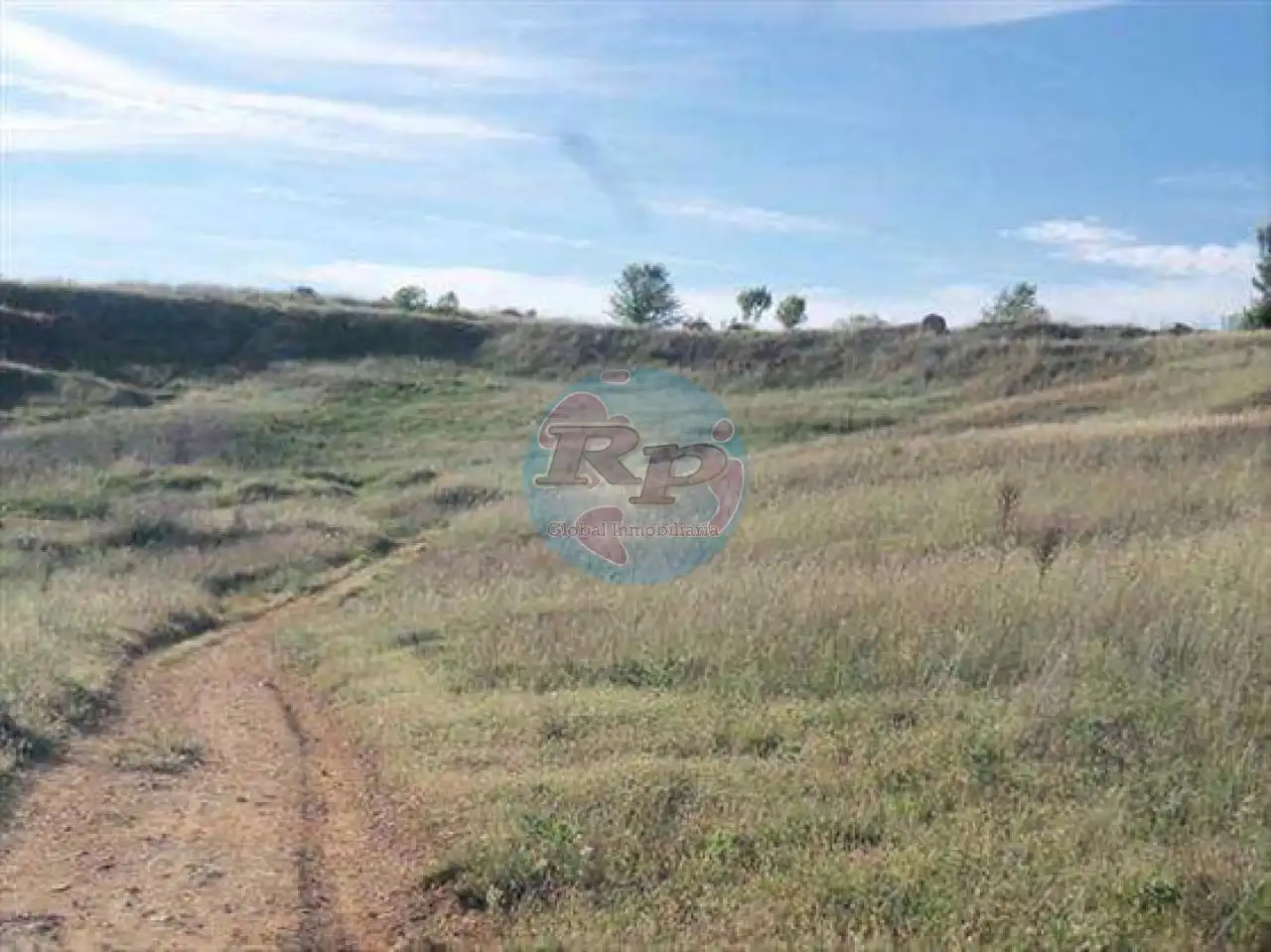 Terreni e lotti in vendita a San Esteban, imagen 4