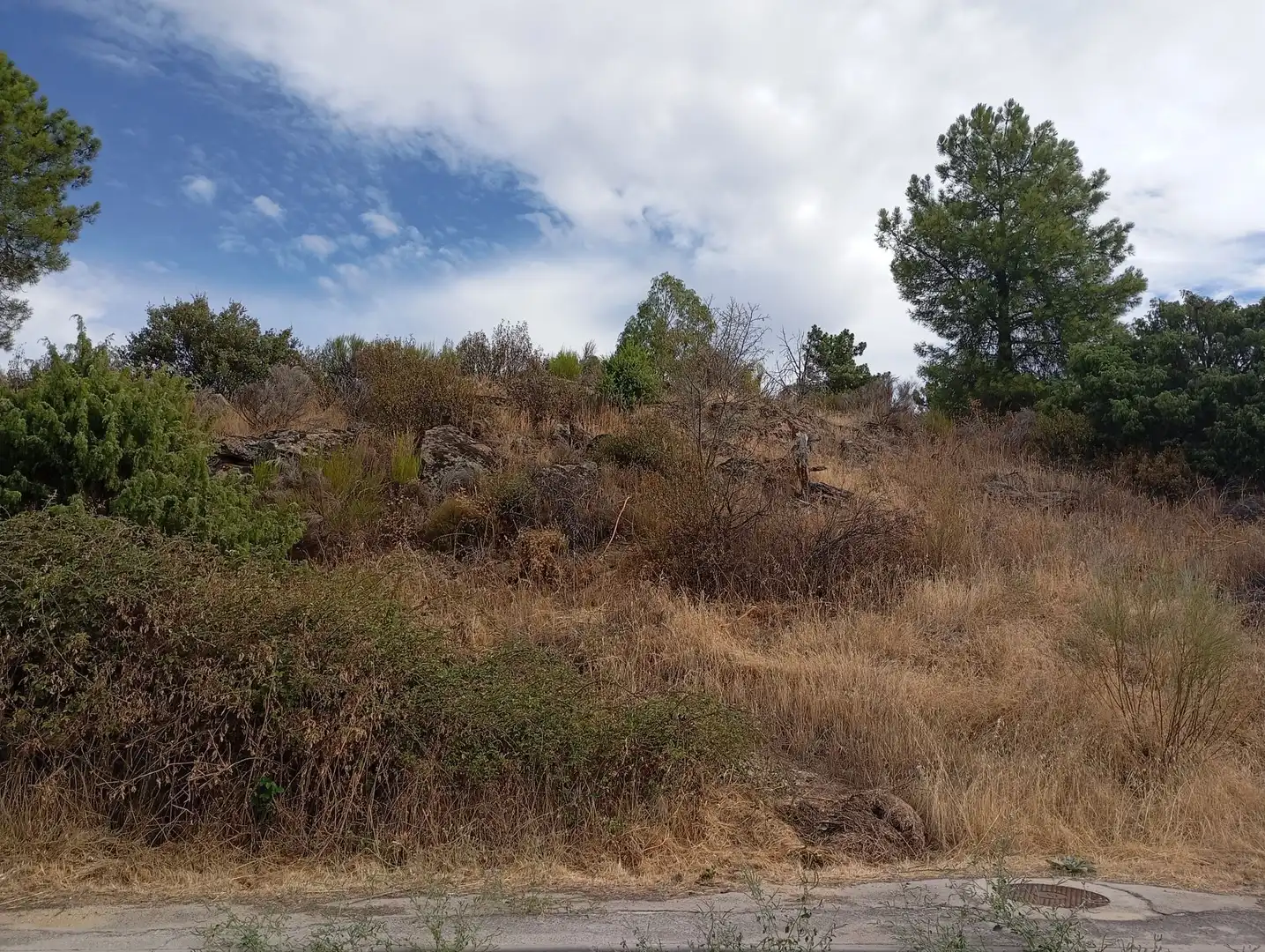 Terrenos y solares en venta en Robledo de Chavela, imagen 15