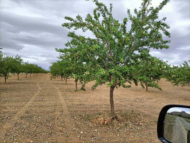 Terreno en Venta en Nambroca