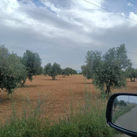 Terreno en Venta en Chueca