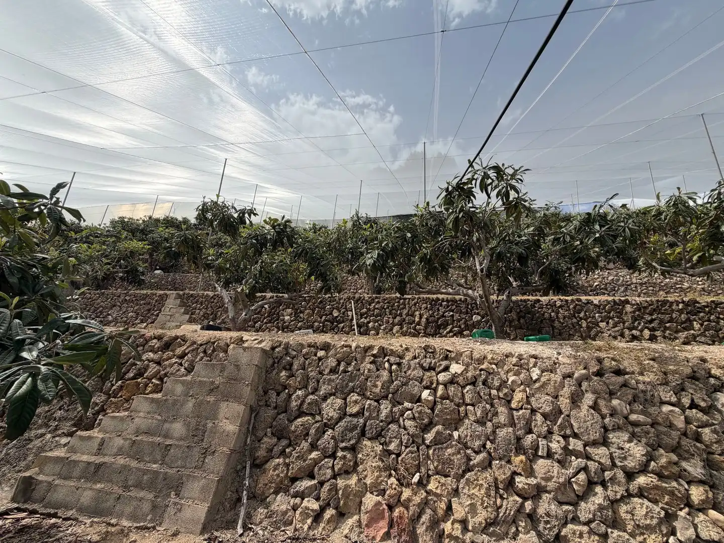 Finca rústica en venta en Polop
