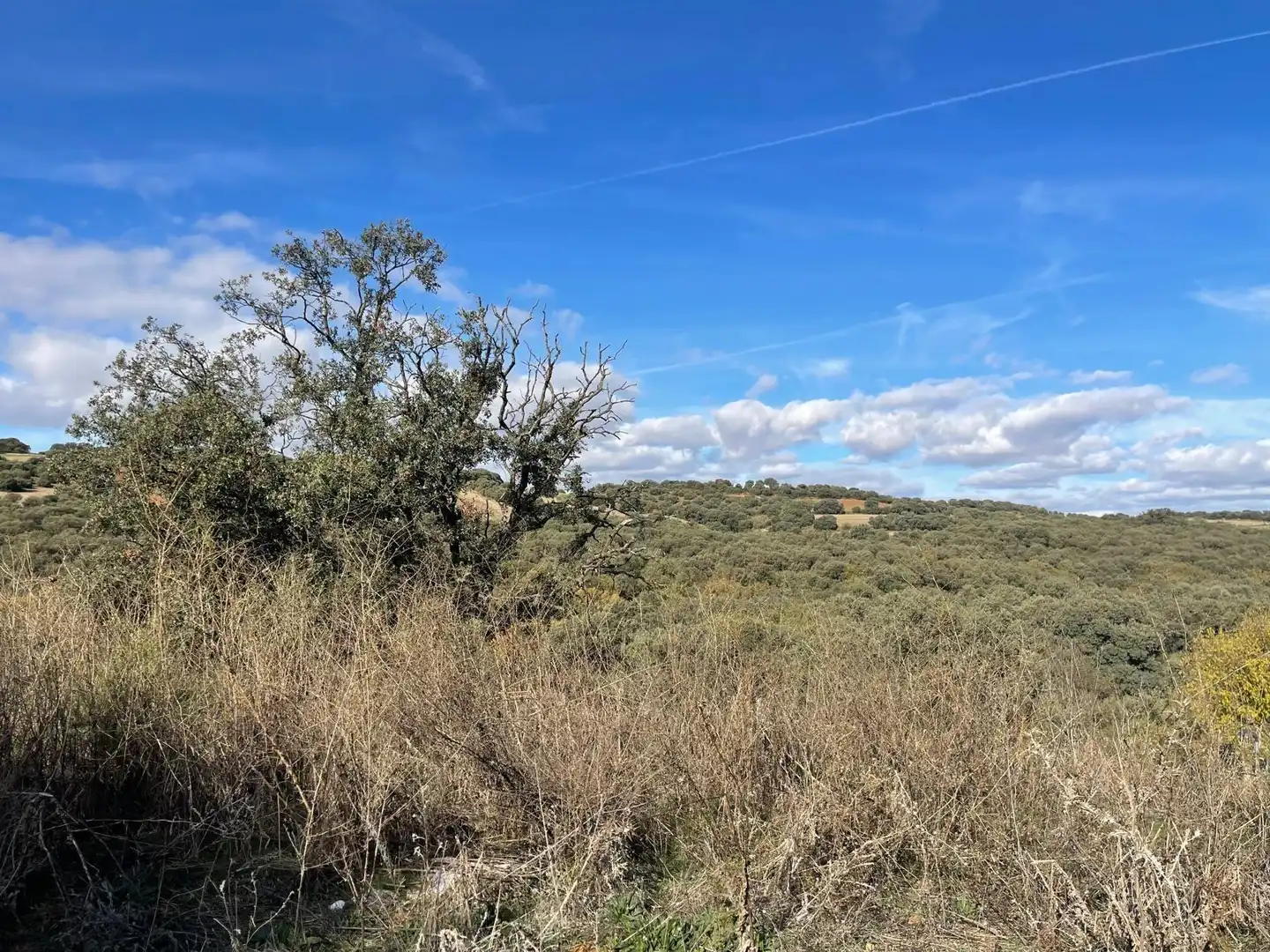 Terreno residencial en venta en Avenida de Sotolargo, imagen 14