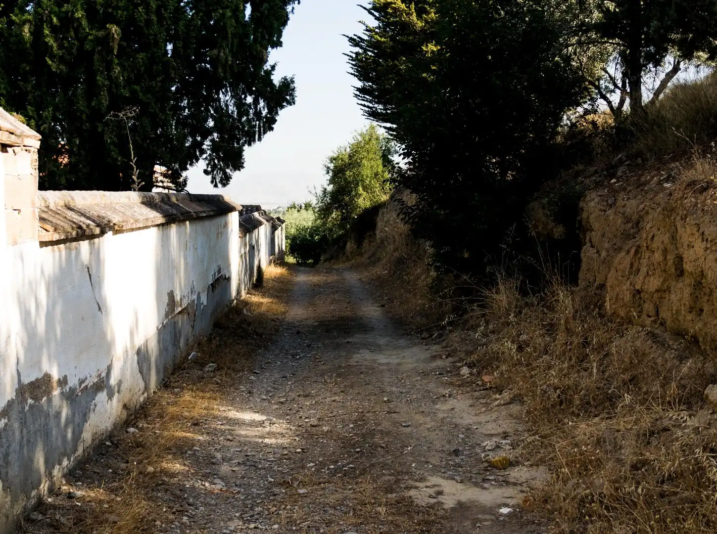 Terreno rustico in vendita a Urbanizacion PAGO VIÑA DEL REY, imagen 7