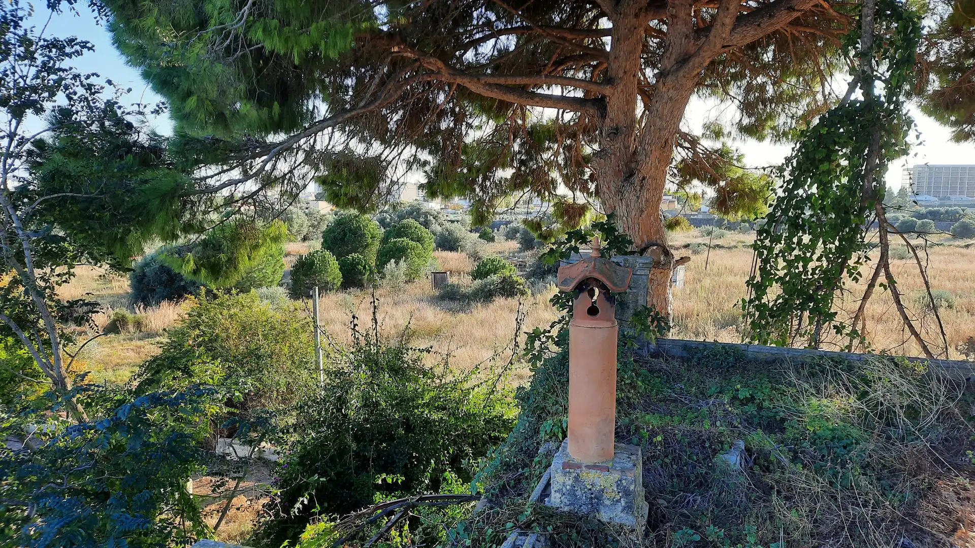 Finca rústica en venta en Plaça Poligono 29, Casco Urbano