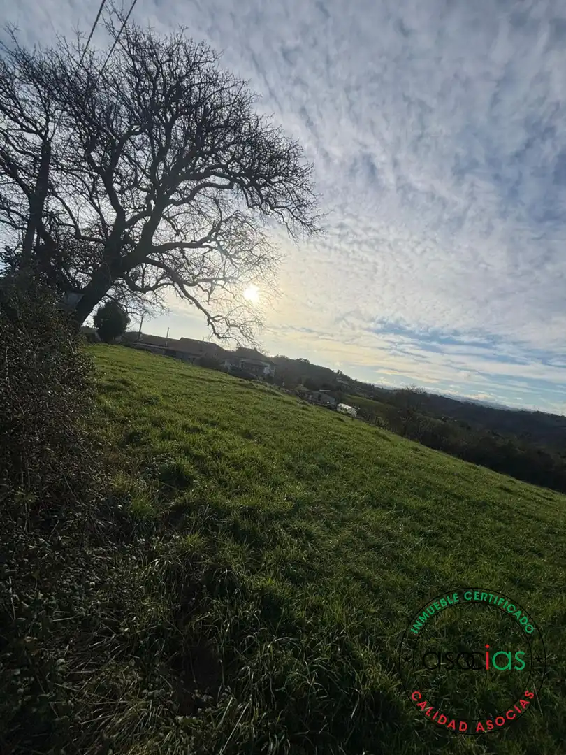 Land for sale in Siero