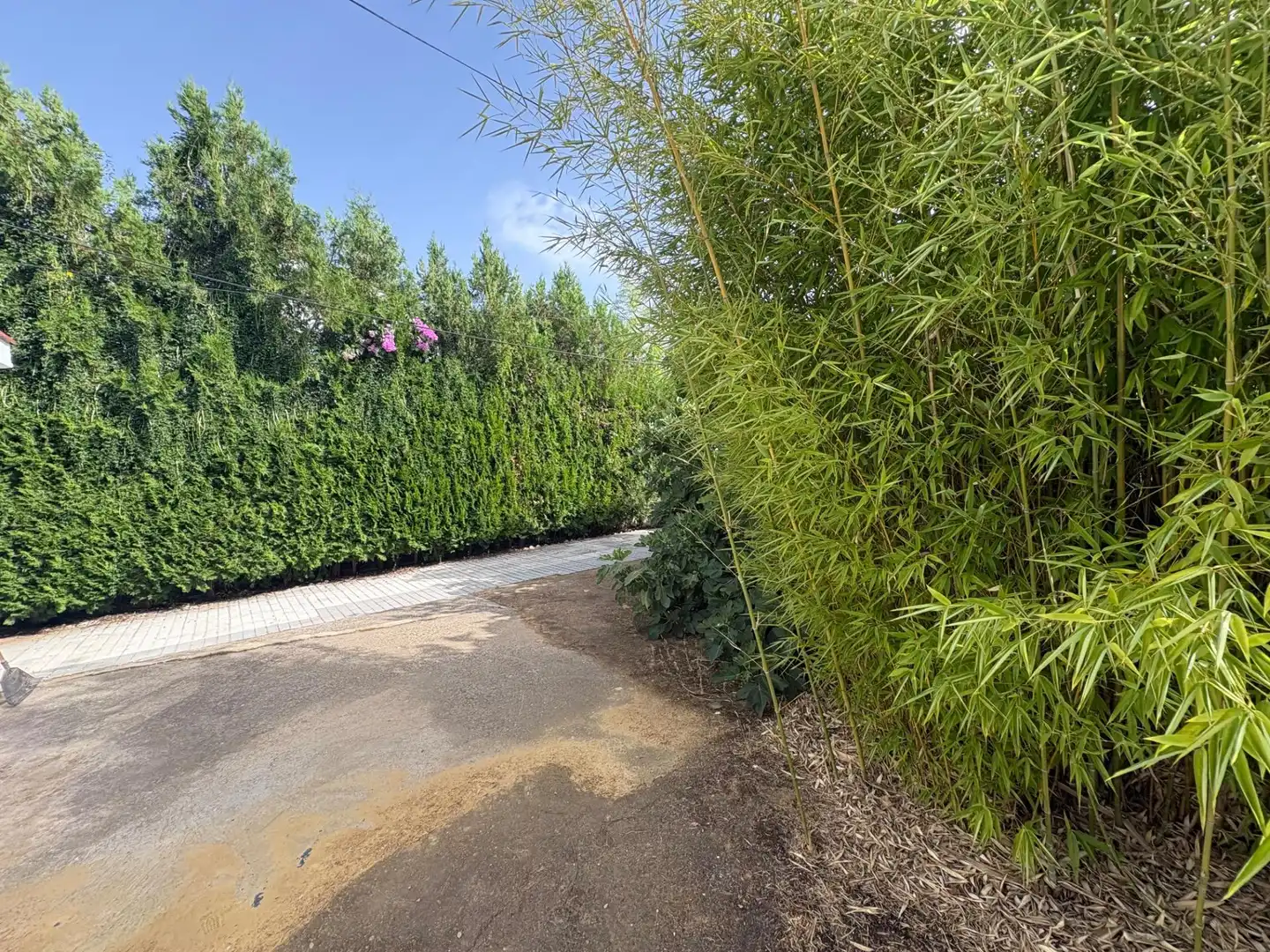 Detached house with pool for sale in Norte-Sierra, imagen 12
