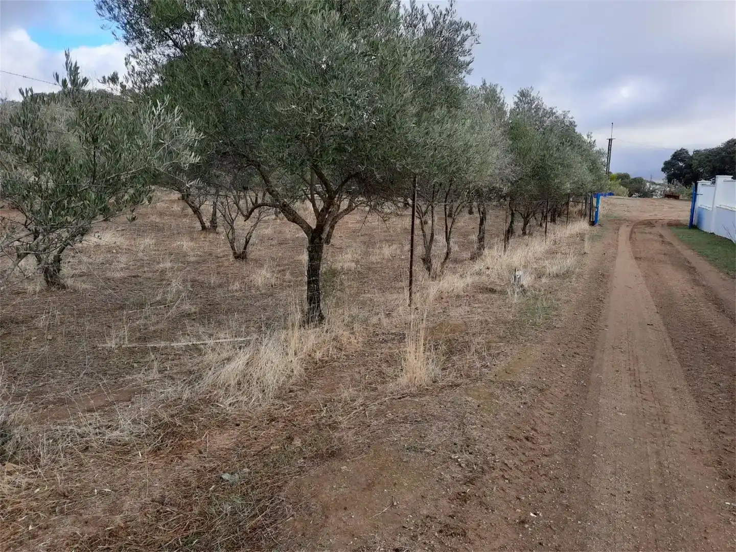 Finca rústica en venda en Belmez amb Aire condicionat, Jardí privat i Traster