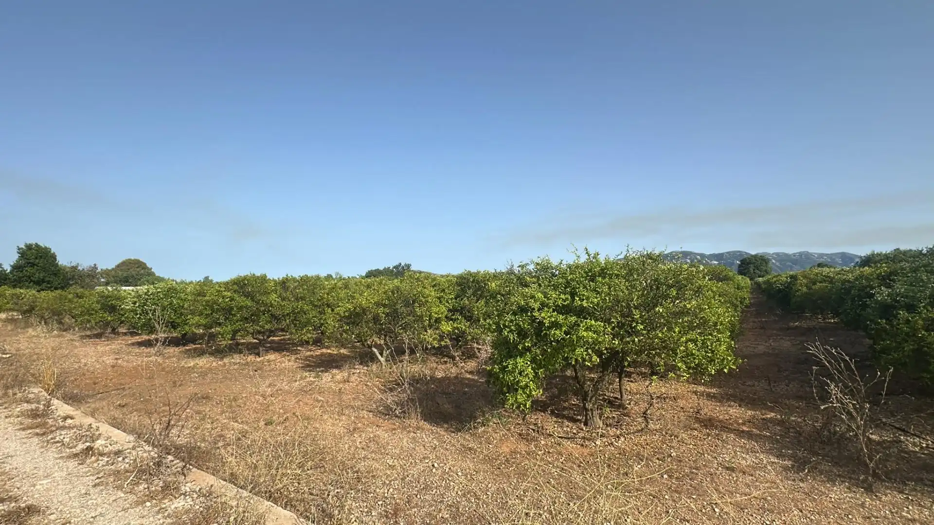 Rural land for sale in Masdenverge