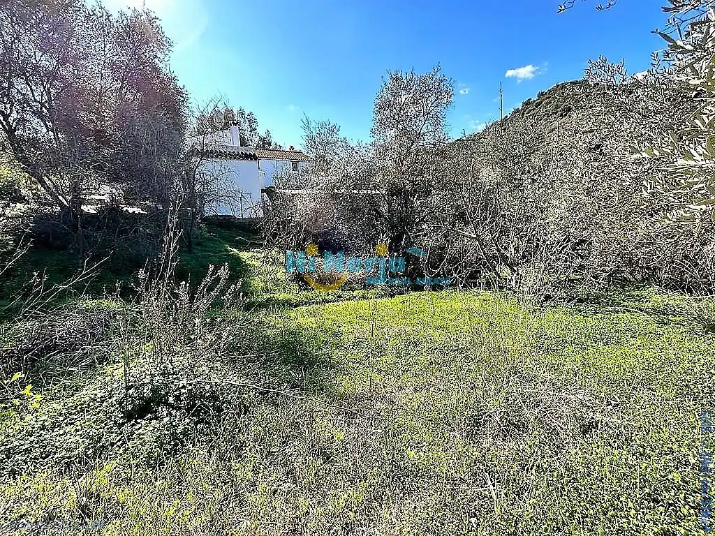 Maison à vendre à Comares, imagen 15