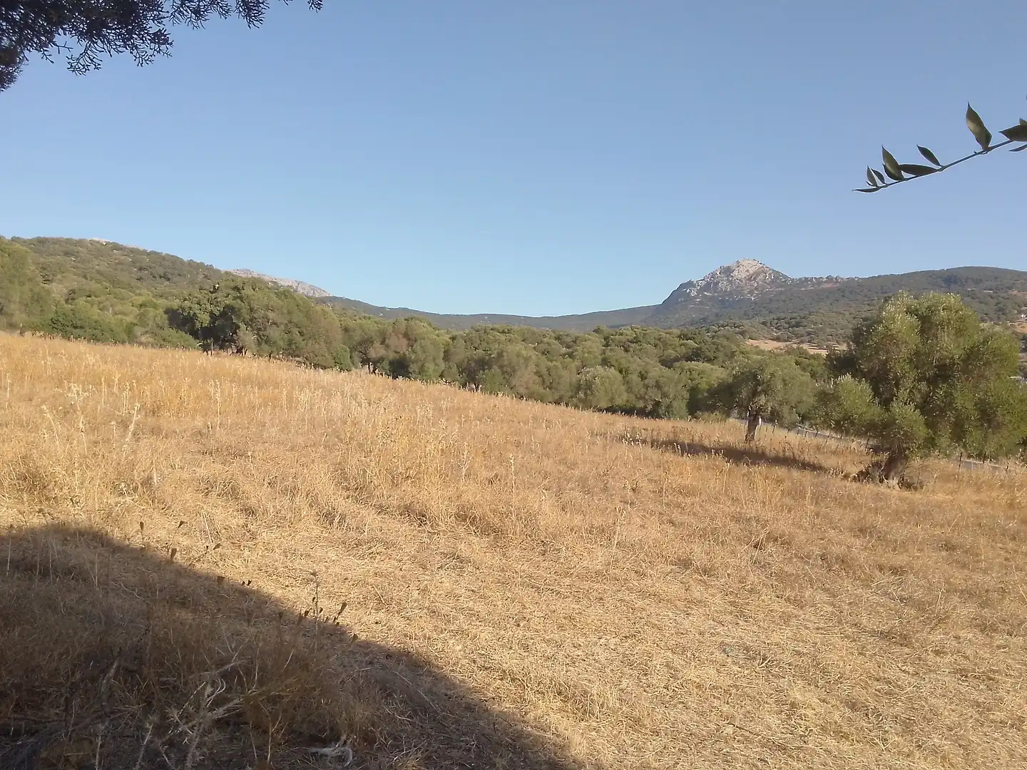 Terreni e lotti in vendita a Ubrique, imagen 15