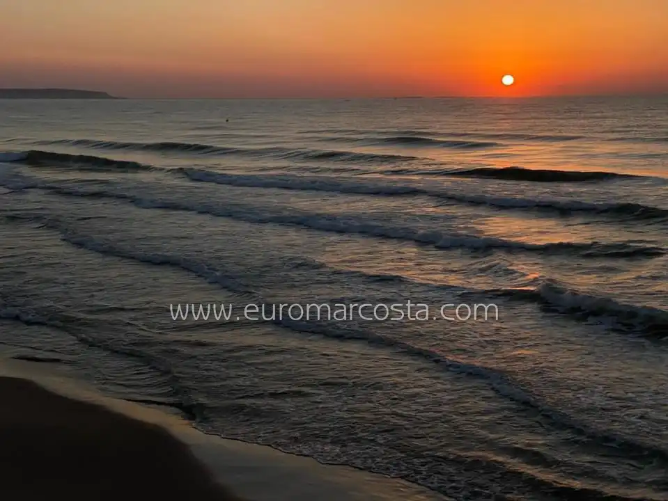 Chalet con piscina en venta en Calle José Carreras, imagen 44
