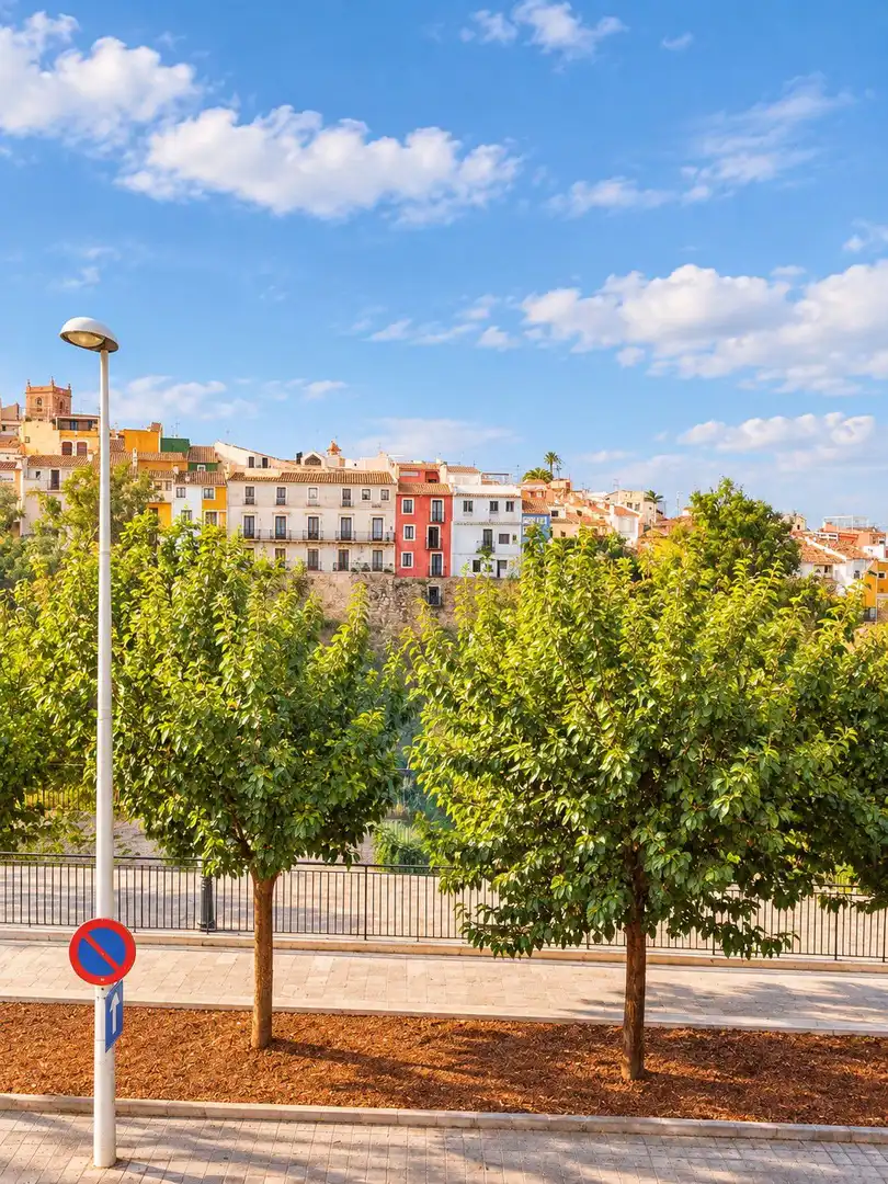 Others for sale in Poble Nou - Montiboli, imagen 13