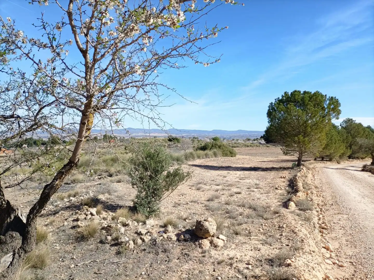 Wohnbaugrundstück zum Verkauf in Almansa, imagen 8