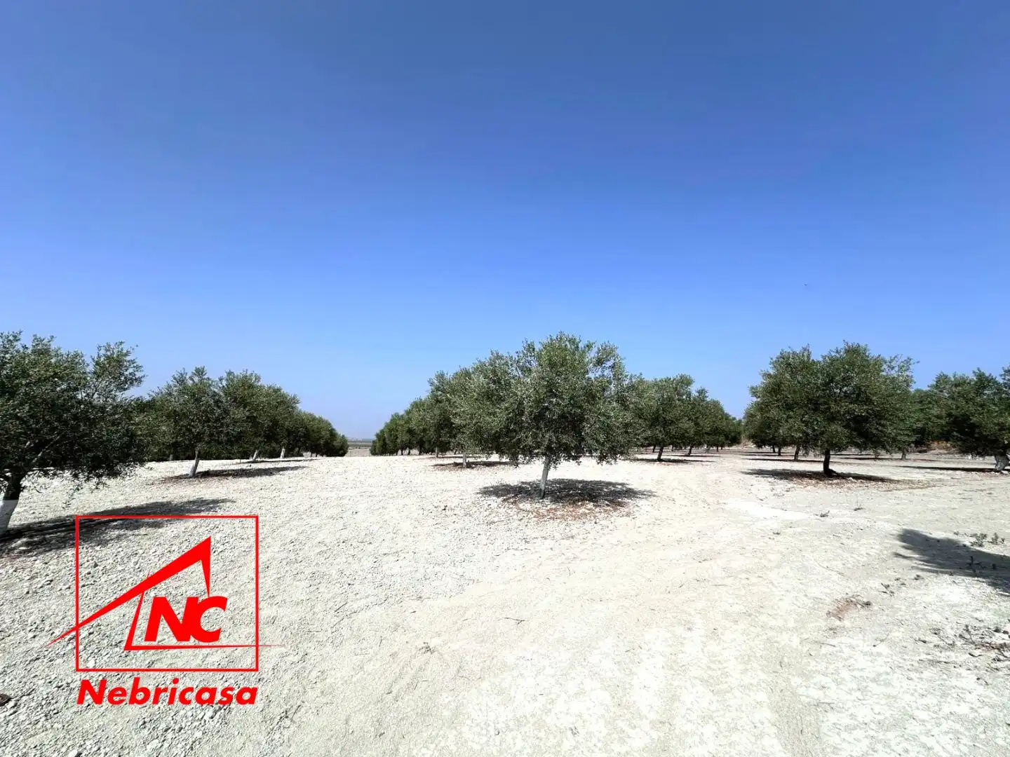 Finca rústica en venda en Lebrija amb Aire condicionat i Moblat