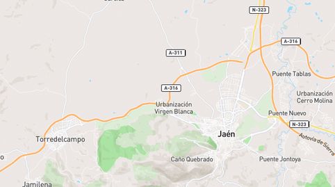 Foto 3 von Geschaftsraum zum Verkauf in Valdeastillas - Fuentezuelas, Jaén Capital
