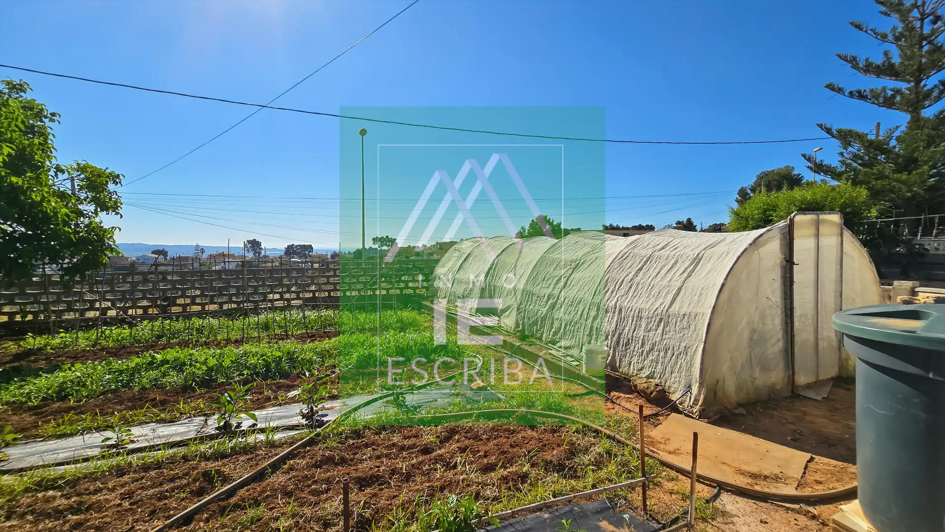 Jardín de Casa o chalet en venta en Catadau con Aire acondicionado, Calefacción y Jardín privado